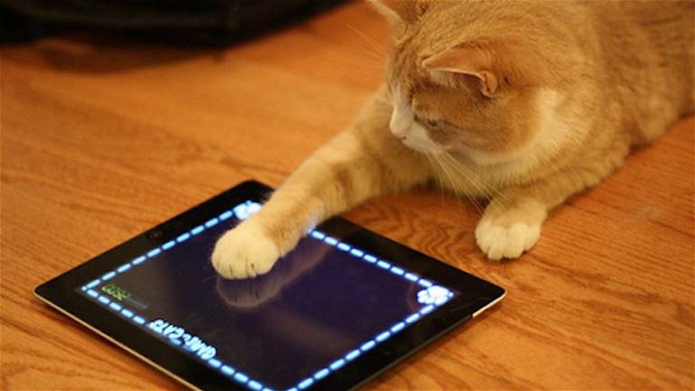 Las Mejores Apps de iPad para Jugar con tu Gato