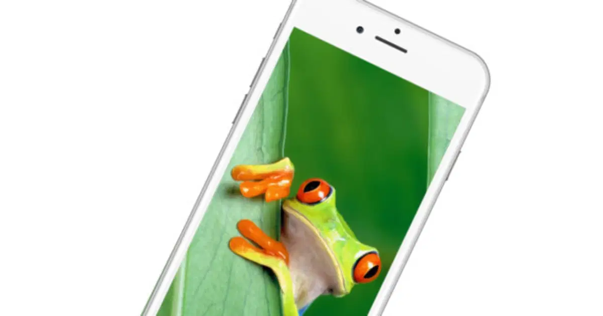 10 bonitos fondos de pantalla de animales para tu iPhone