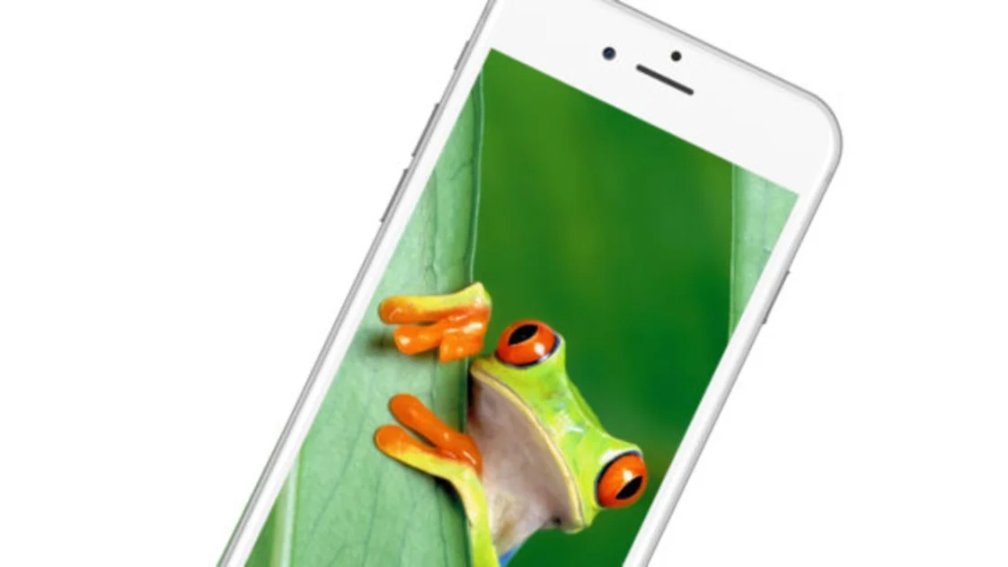 10 bonitos fondos de pantalla de animales para tu iPhone