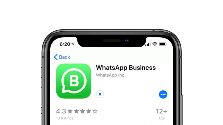 WhatsApp Business llega por fin a iOS