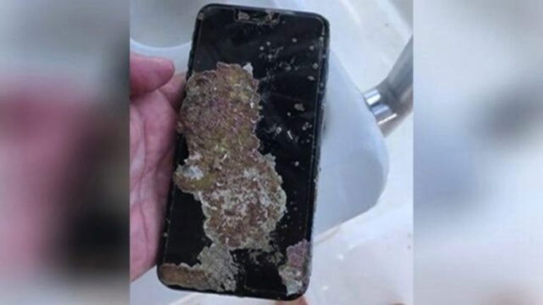 Un iPhone estuvo un año bajo el mar y se convirtió en un perfecto hogar para los percebes