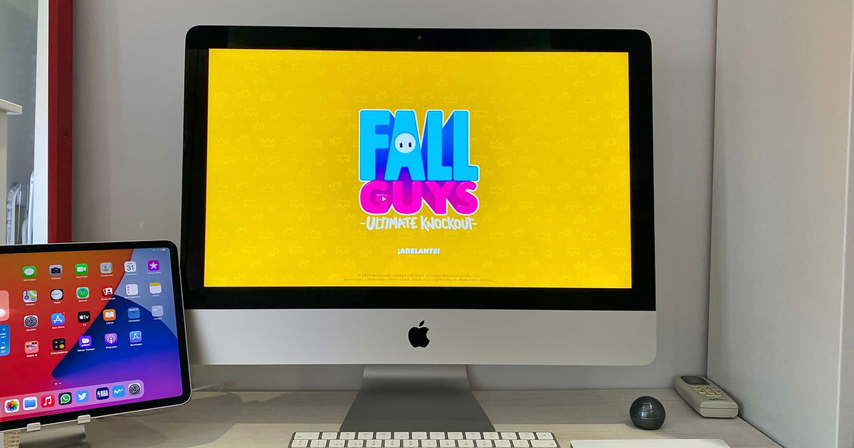 Fall Guys: ¿cómo descargar, instalar y jugar gratis en PC?