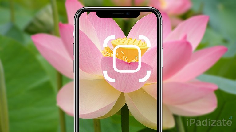 Escritura siguiente error Cómo identificar plantas y flores con el iPhone sin instalar nada