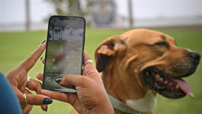 Apple te explica cómo puedes tomar mejores fotos de mascotas con el iPhone