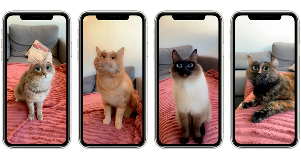 usar filtro los ojos para perros y gatos en tu iPhone