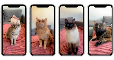 Cómo usar el filtro de los ojos para perros y gatos en tu iPhone