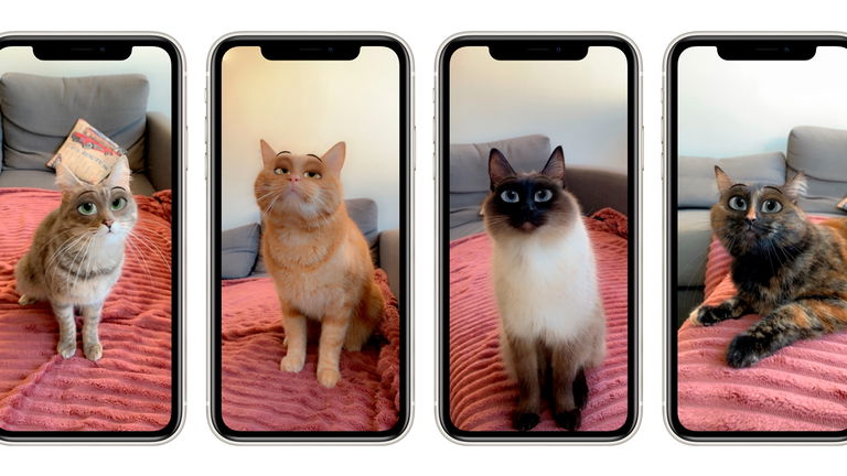 Cómo usar el filtro de los ojos para perros y gatos en tu iPhone