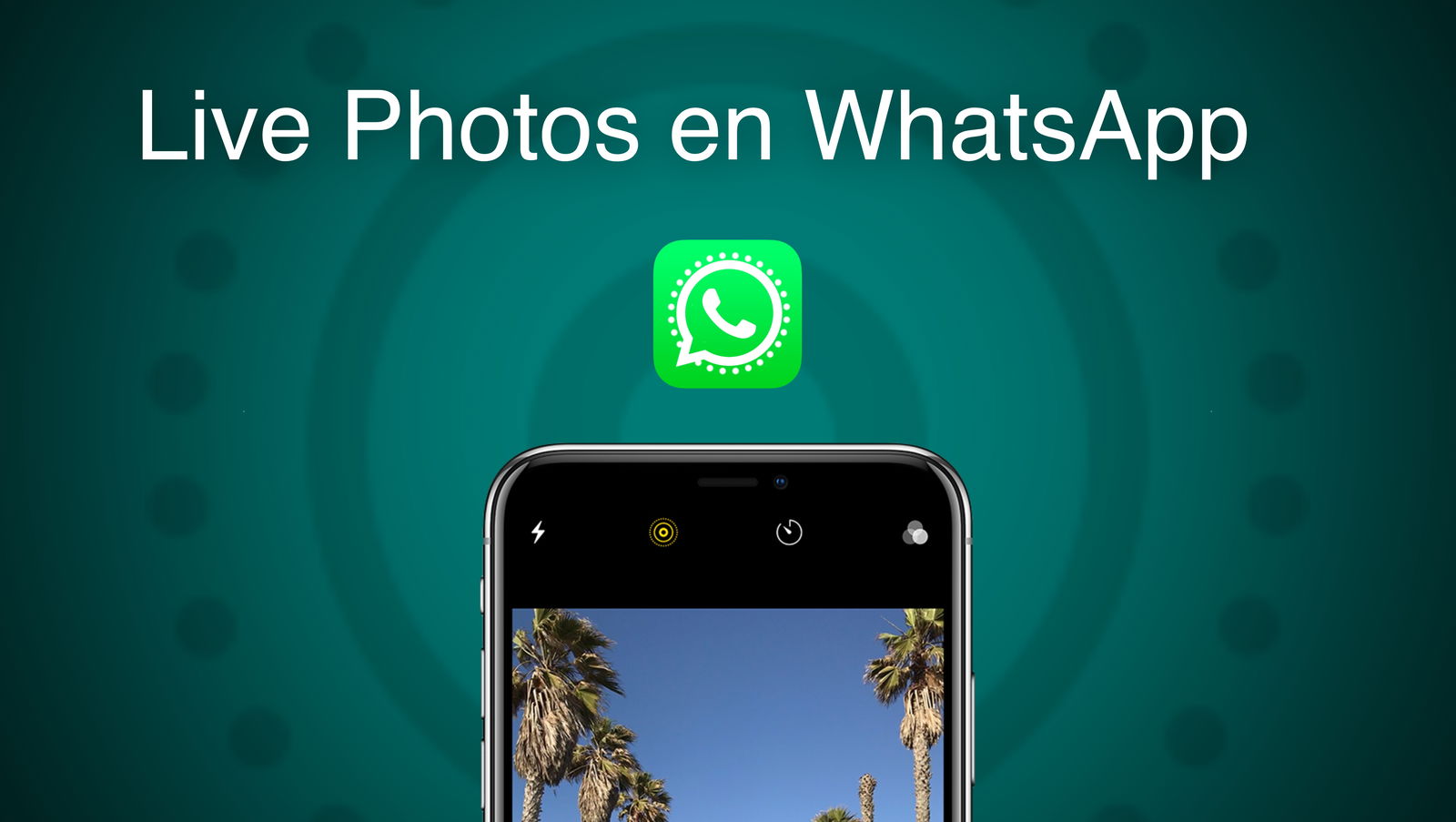 comment envoyer une photo live sur whatsapp