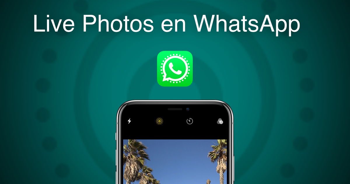 how-to-send-a-live-photo-on-whatsapp-gearrice