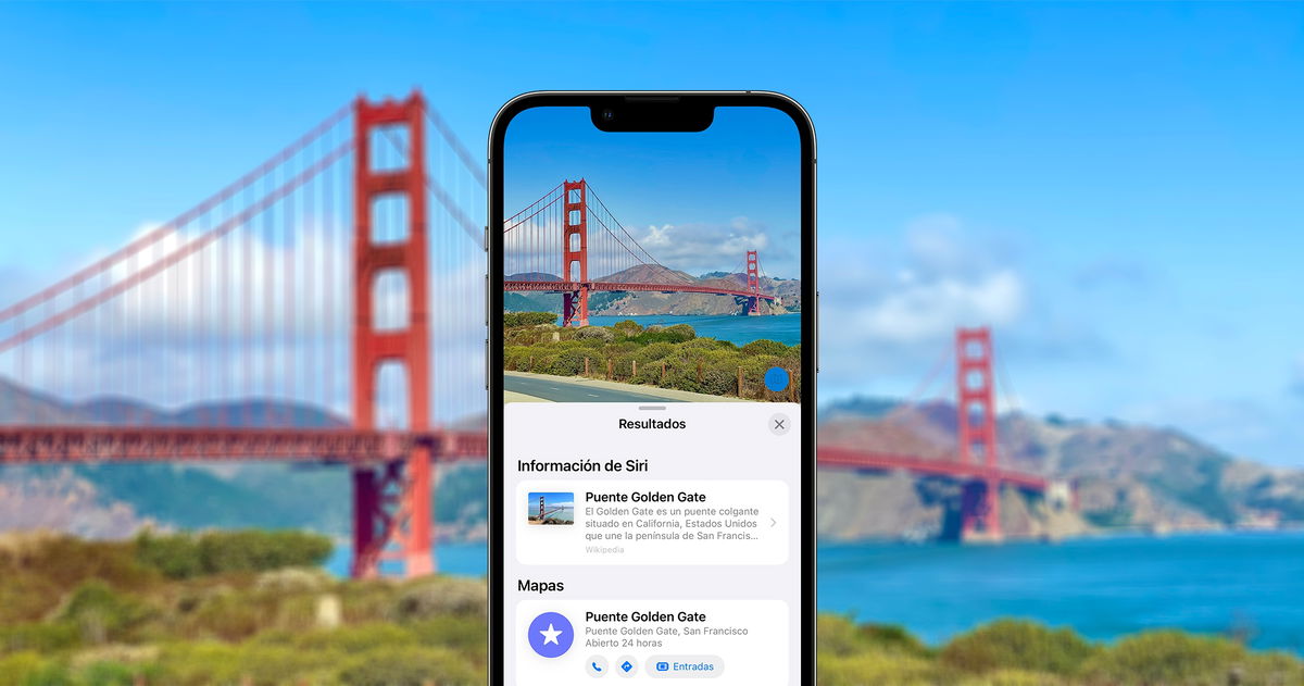 El truco secreto de tu iPhone para identificar un lugar, una obra de arte, una planta o una mascota