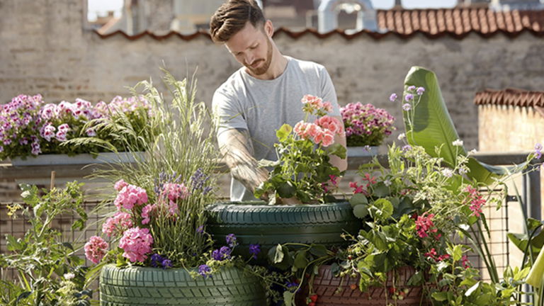 Mejores apps de jardinería para iPhone