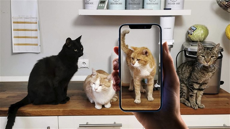 7 aplicaciones de identificación de razas de gatos disponibles para iPhone