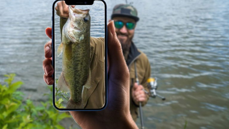 Mejores apps para identificar peces y criaturas marinas desde iPhone