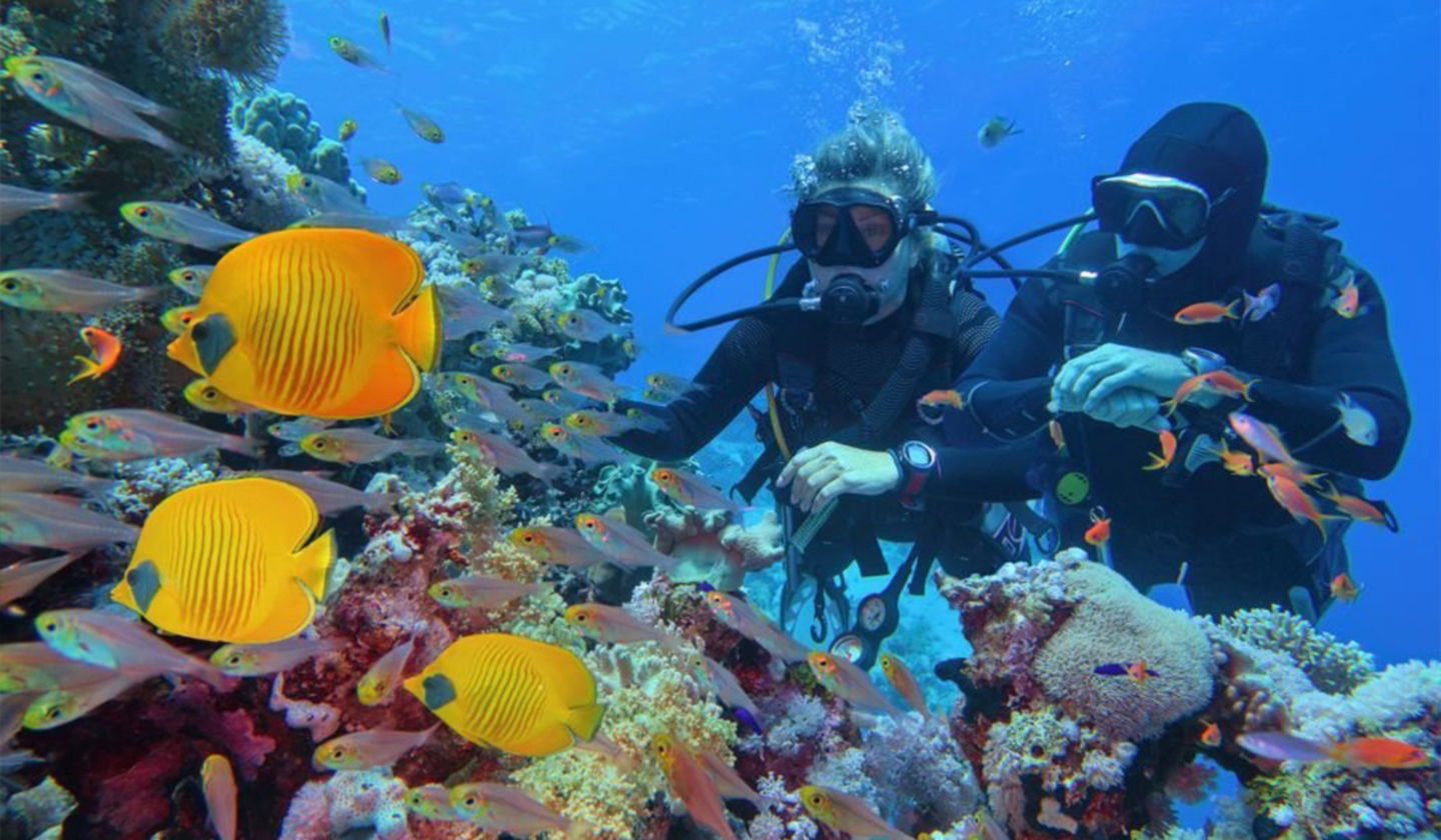 Apple watch online buceo