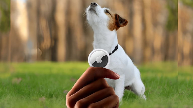 Este perro perdido se ha reunido con su dueño gracias al AirTag de Apple