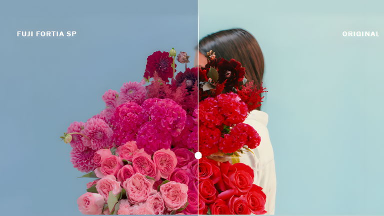 VSCO Cam se actualiza con grabación de vídeo y 50 filtros en tiempo real